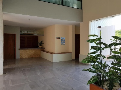 Hotel Boutique La Toja Campeche image 13