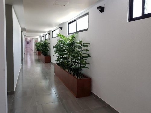 Hotel Boutique La Toja Campeche image 14